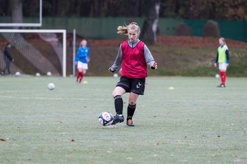 Bild 147 - wBJ Harburger TB - Holstein Kiel : Ergebnis: 2:1